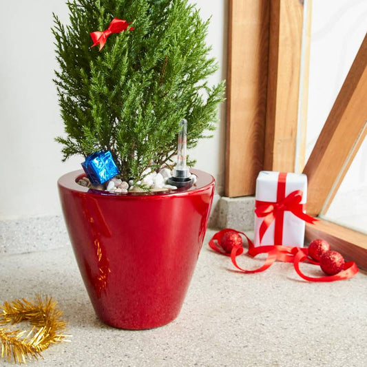 Self-Watering Planter Duo - Stylish Red Cone