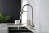Sleek Pull-Down Kitchen Faucet