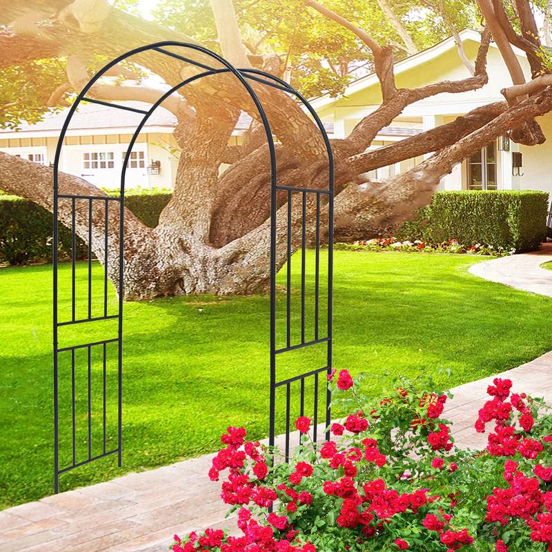 Elegant Climbing Rose Arch