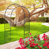 Elegant Climbing Rose Arch