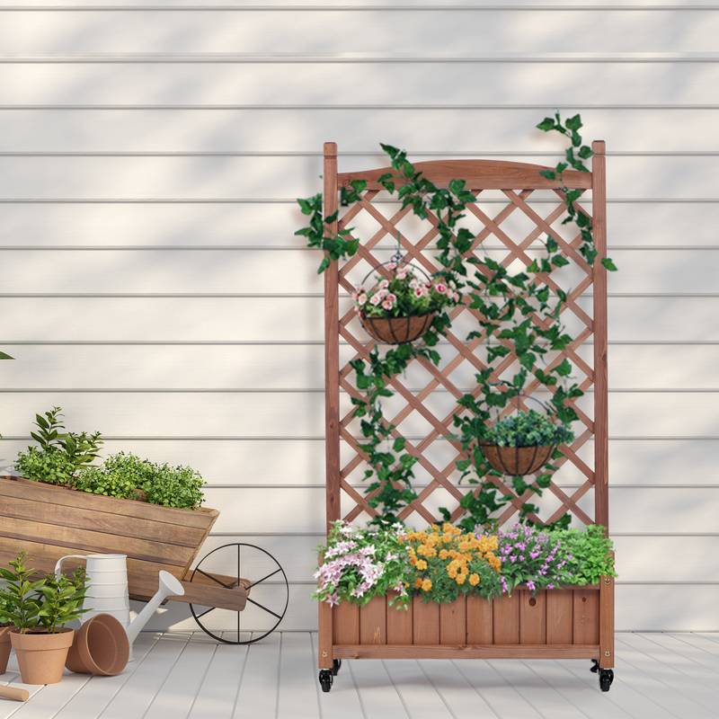 Garden Oasis Duo: Raised Planter with Climbing Trellis