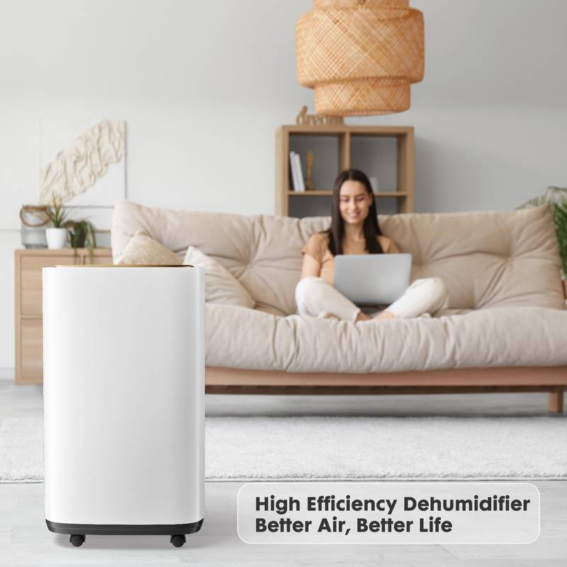Moisture Master: Portable Dehumidifier for Your Home