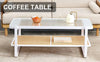 Sleek White Double Layer Coffee Table