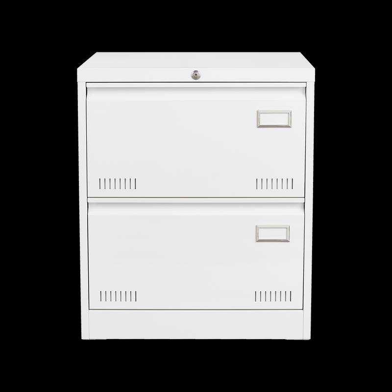 Secure Sleek Filing Cabinet - Stylish 2-Drawer Organizer