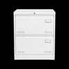 Secure Sleek Filing Cabinet - Stylish 2-Drawer Organizer