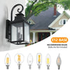 Bright Outdoor Wall Lights with Glass Design