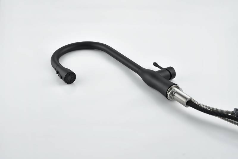 Sleek Matte Black Pull-Down Kitchen Faucet