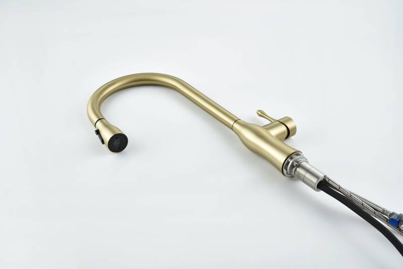 Gold Pull-Down Kitchen Faucet