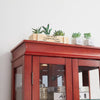 Illuminated Glass Display Cabinet