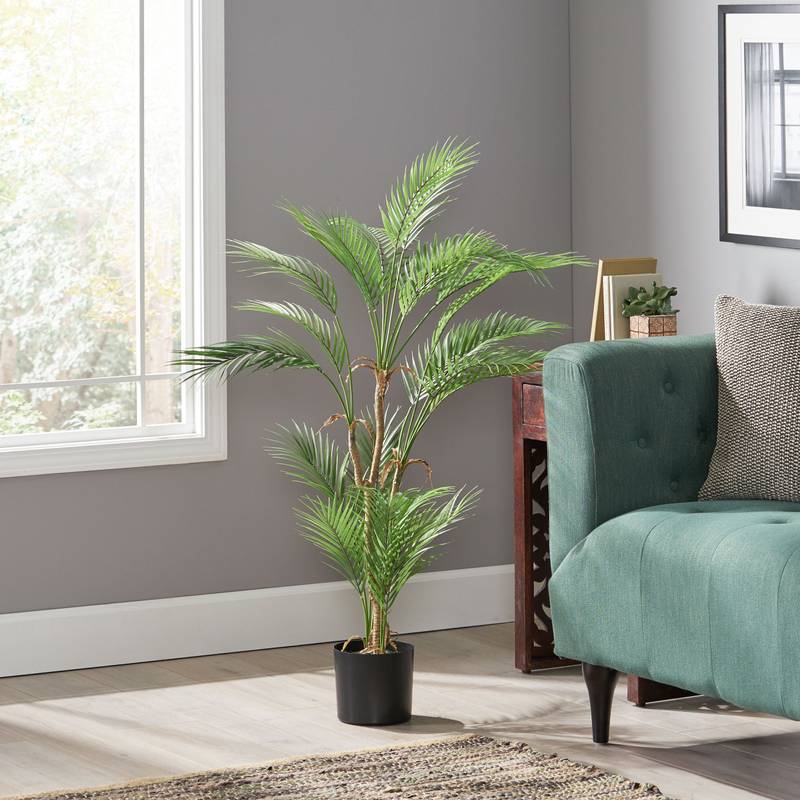 Lush Palm Paradise Tree