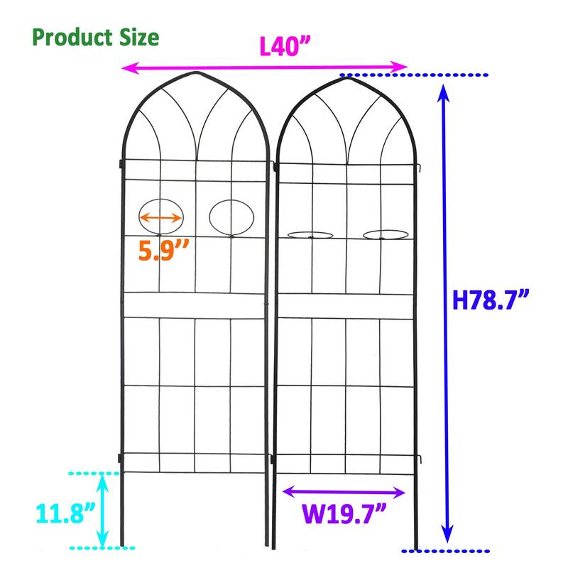 Dynamic Duo Garden Trellis - Rustproof Support for Climbing Plants