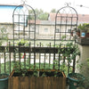 ClimbHigh: Rust-Free Plant Trellis Set