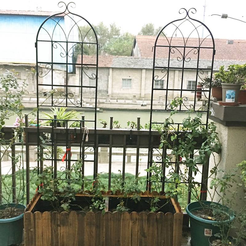 Climb & Shine Trellis Set