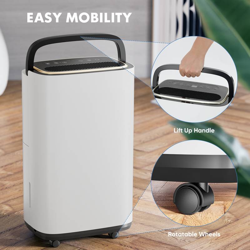 Moisture Master: Portable Dehumidifier for Your Home