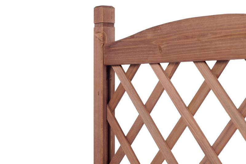 Garden Oasis Duo: Raised Planter with Climbing Trellis