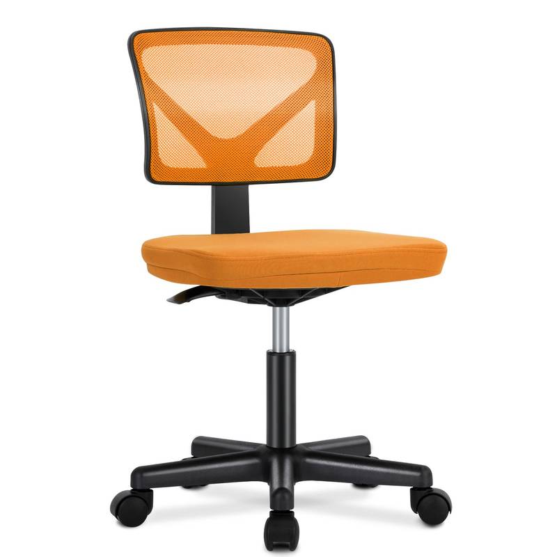 Cozy Lumbar Support Desk Chair