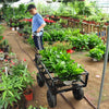 Firewood Wagon Cart