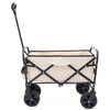 Versatile Collapsible Beach Wagon with Liner Bags