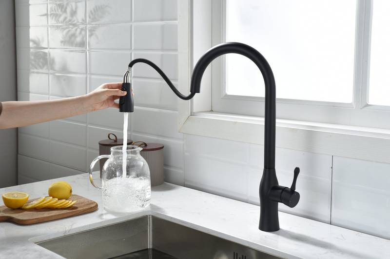 Sleek Matte Black Pull-Down Kitchen Faucet