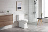 Sleek Comfort Elongated Toilet with Soft Close Seat