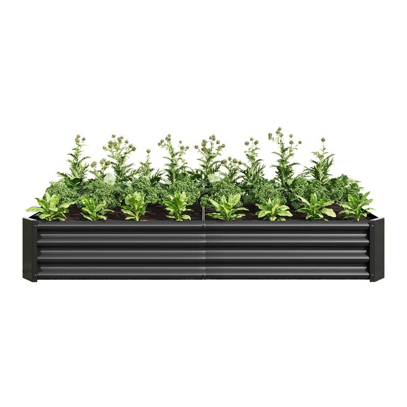 Sleek Black Garden Bed for Beautiful Blooms