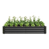 Sleek Black Garden Bed for Beautiful Blooms