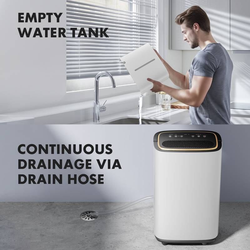 Moisture Master: Portable Dehumidifier for Your Home