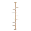Cat Paradise Climbing Tower