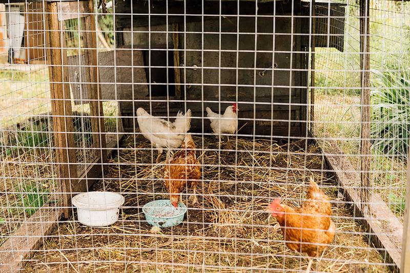 Galvanized Garden Wire Fencing Roll