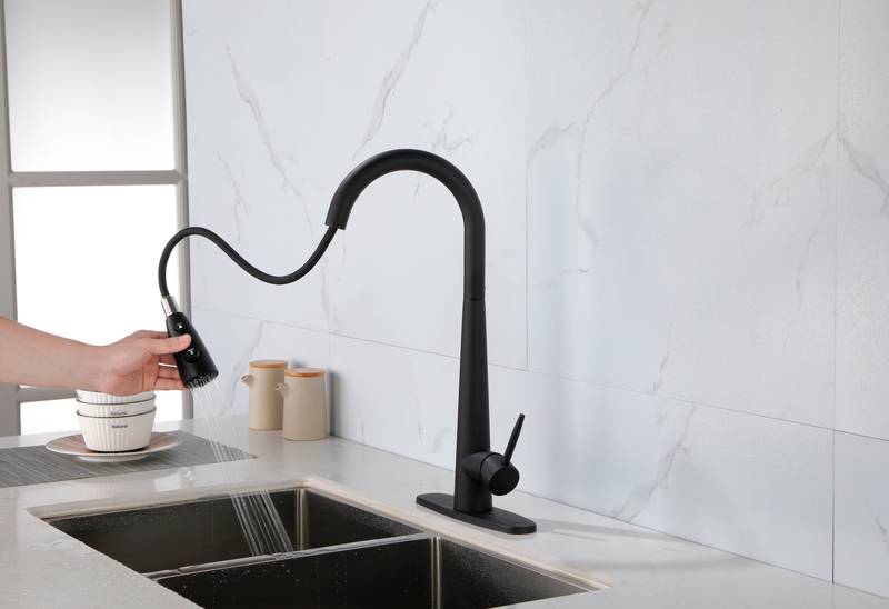 Sleek Pull-Down Kitchen Faucet