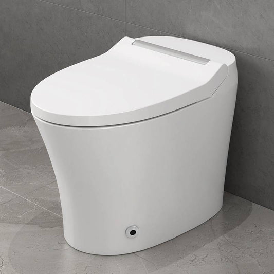 Heated Comfort Smart Toilet