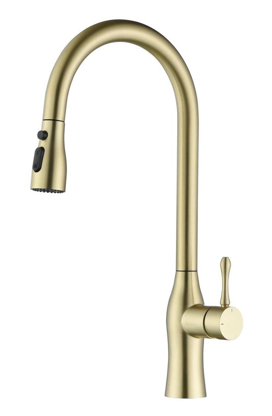 Gold Pull-Down Kitchen Faucet