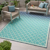 Meridian Cozy Oasis Rug