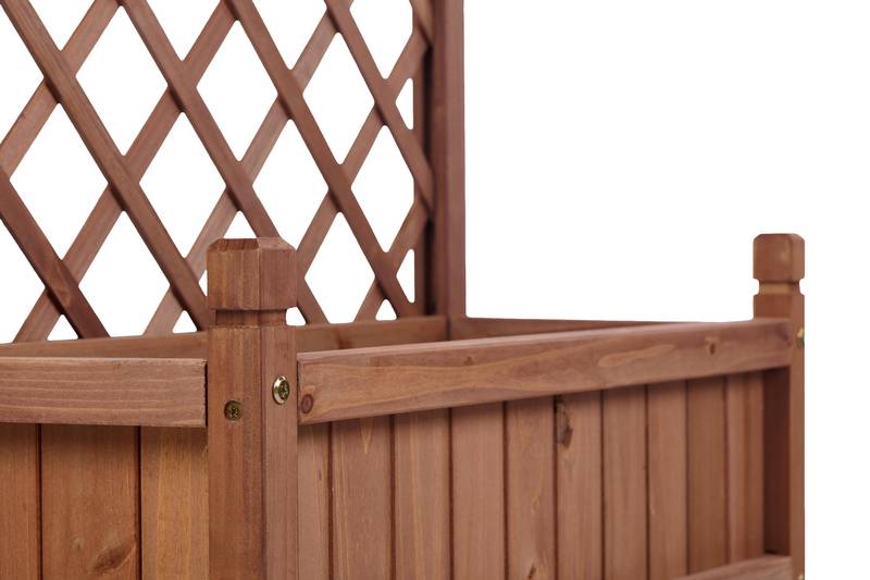 Garden Oasis Duo: Raised Planter with Climbing Trellis