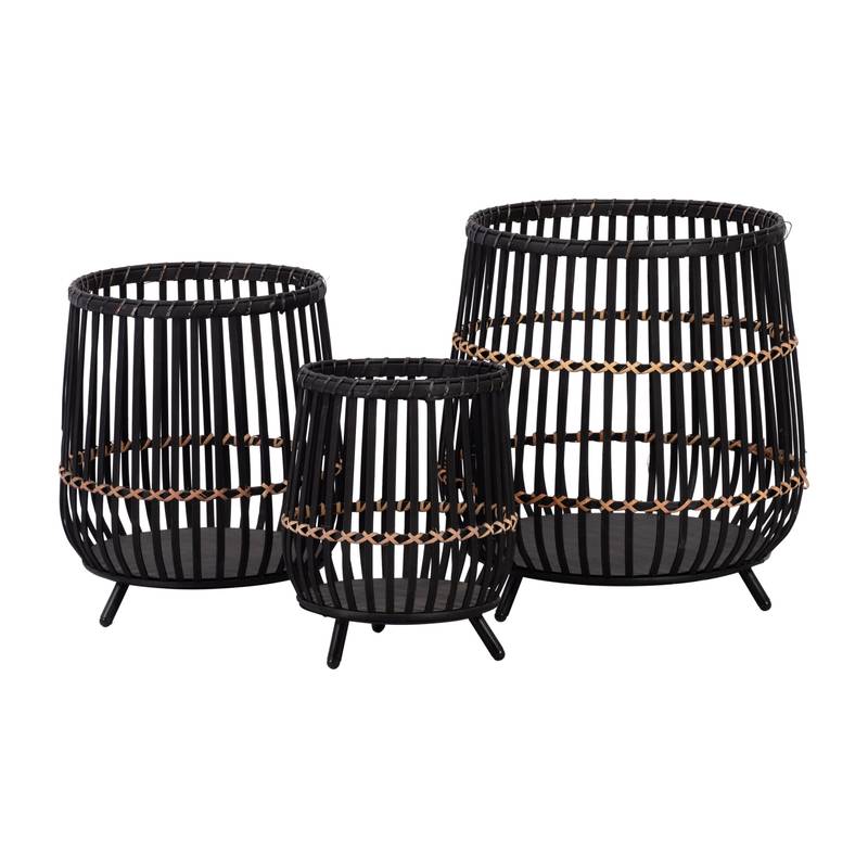 Bamboo Delight Plant Set - Stylish Black Planters