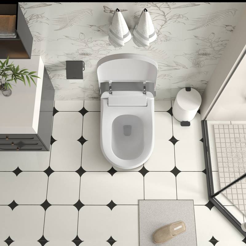 Luxury Smart Bidet Toilet with Remote & Aromatherapy