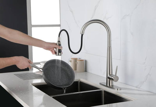 Sleek Pull-Down Kitchen Faucet