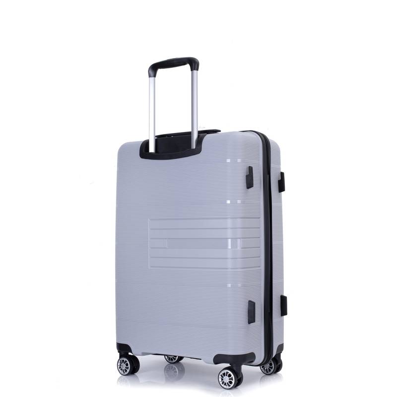 Silver Spin & Secure Luggage Set