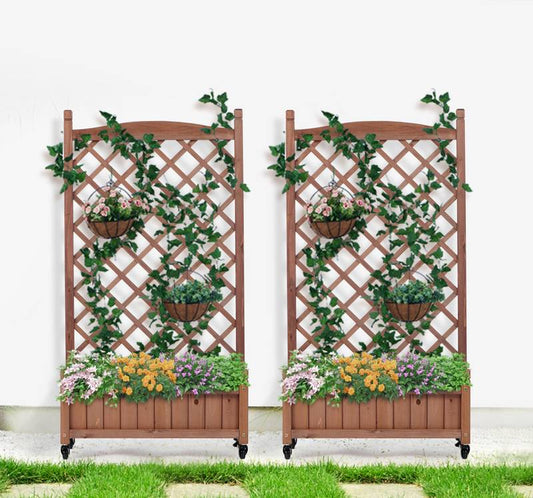 Garden Oasis Duo: Raised Planter with Climbing Trellis
