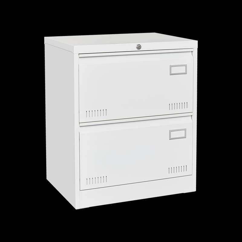 Secure Sleek Filing Cabinet - Stylish 2-Drawer Organizer