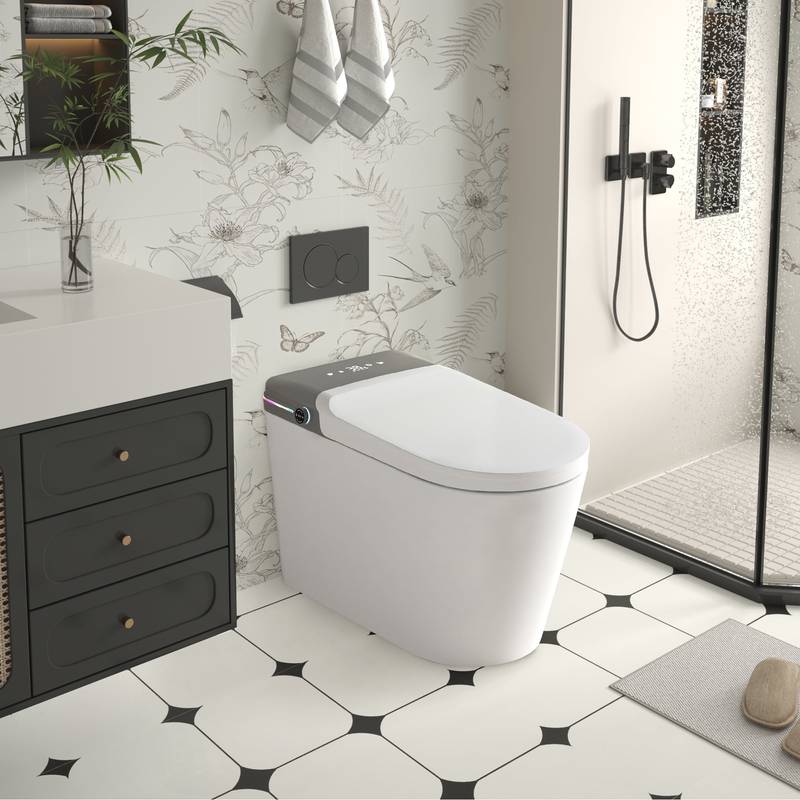 Luxury Smart Bidet Toilet with Remote & Aromatherapy