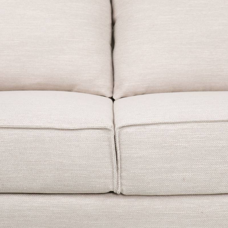 Cozy Contemporary Beige Sofa