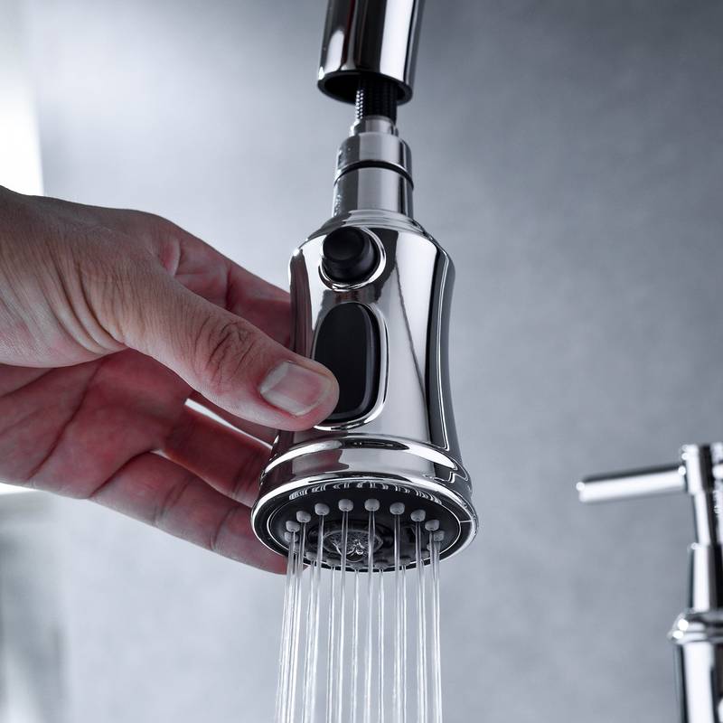 Spotless Pull-Down Kitchen Faucet