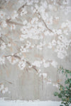 Cherry Blossom Dreams Wall Art