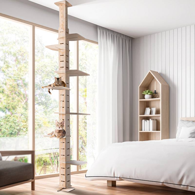 Cat Paradise Climbing Tower