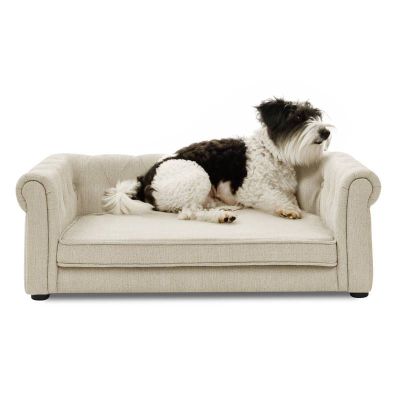 Chic Elevated Pet Sofa - Cozy & Stylish Bed for Dogs