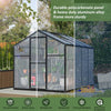Easy Set-Up Backyard Greenhouse