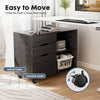 SweetCrispy Mobile File & Storage Cabinet