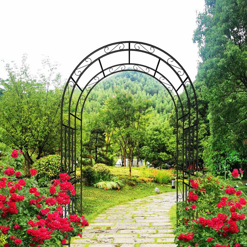 Charming Garden Arch for Climbing Plants