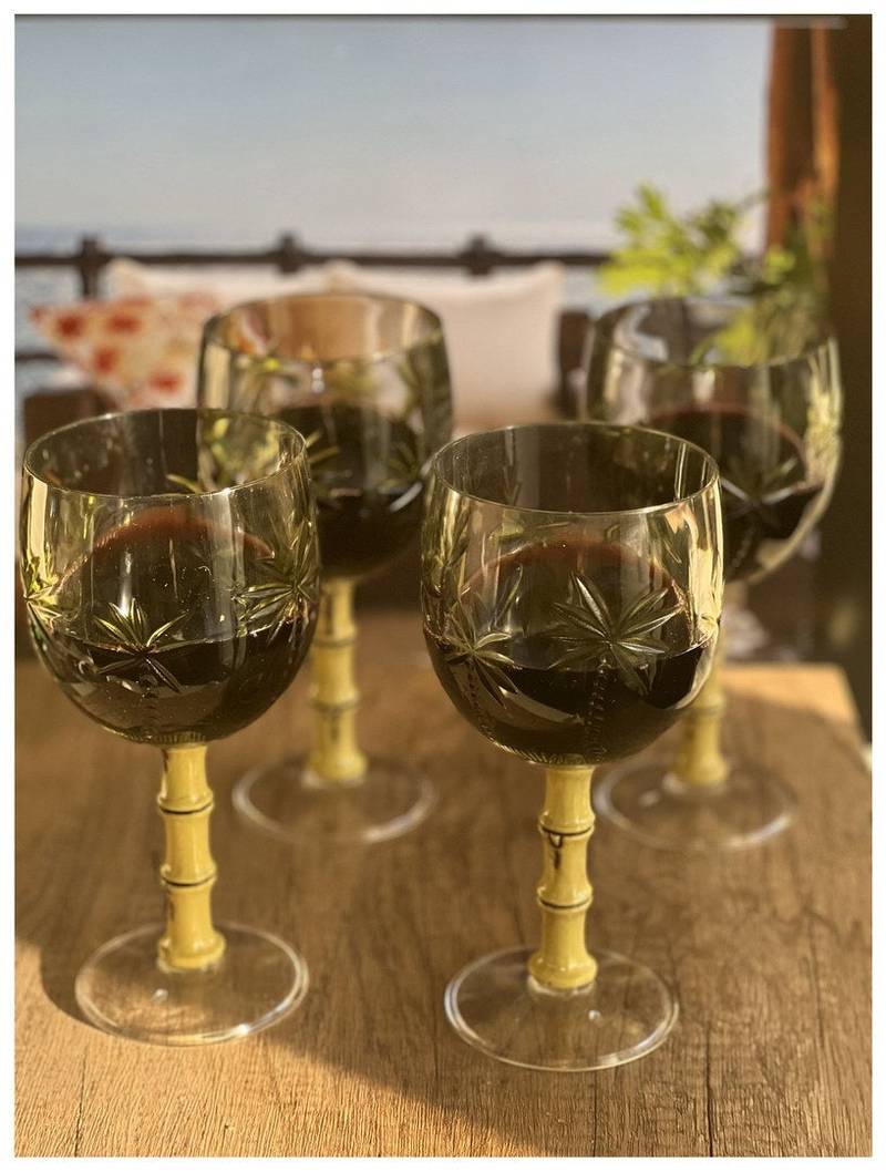 Tropical Vibes Unbreakable Wine Glasses Set